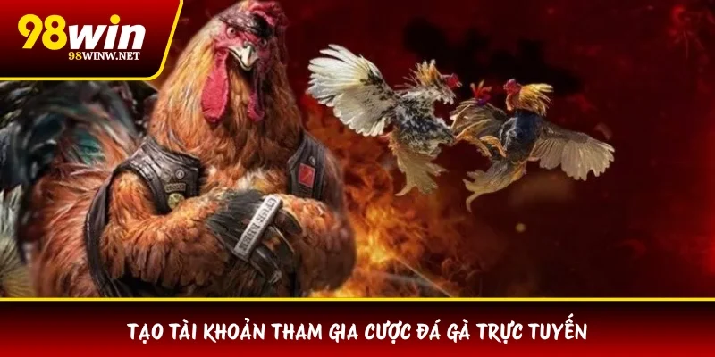 Tạo tài khoản tham gia cược đá gà trực tuyến