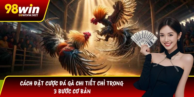 Cách Đặt Cược Đá Gà Chi Tiết Chỉ Trong 3 Bước Cơ Bản