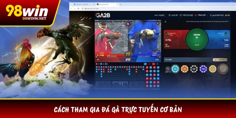 Cách tham gia đá gà trực tuyến cơ bản