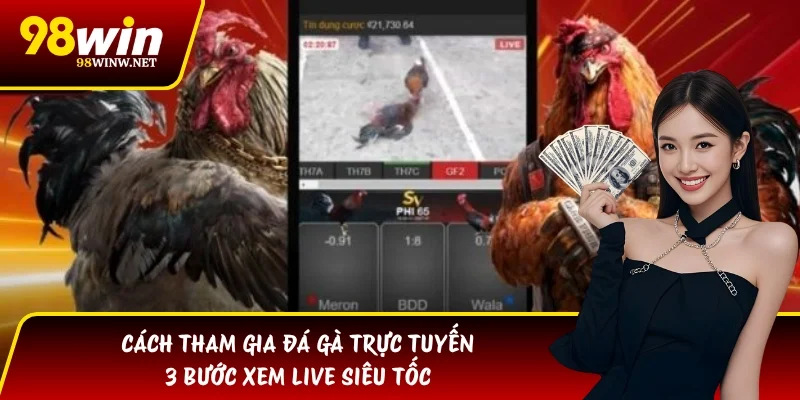 Cách Tham Gia Đá Gà Trực Tuyến | 3 Bước Xem Live Siêu Tốc
