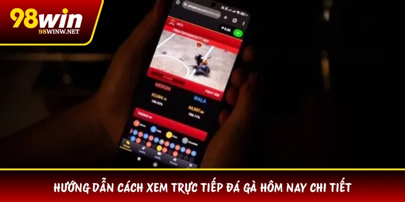 Hướng dẫn cách xem trực tiếp đá gà hôm nay chi tiết