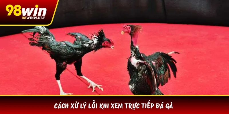 Cách xử lý lỗi khi xem trực tiếp đá gà 