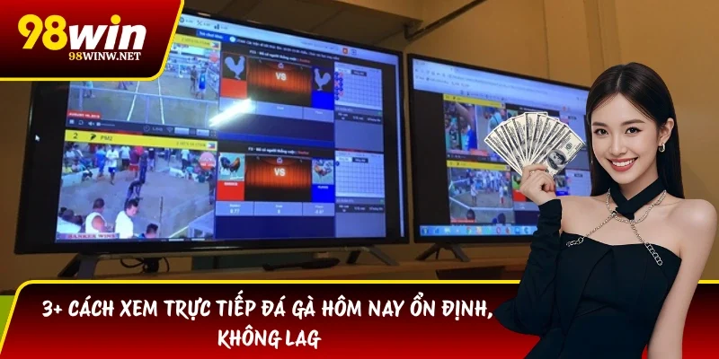 3+ Cách Xem Trực Tiếp Đá Gà Hôm Nay Ổn Định, Không Lag